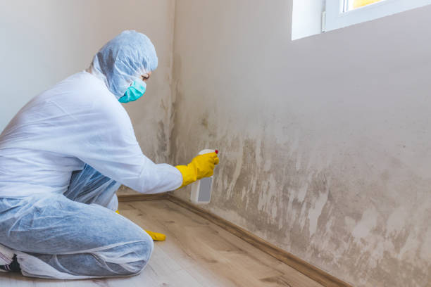Mold Remediation specialist working in Mathews